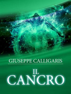 Book cover of Il Cancro - Esplorazione ed Investigazione attraverso l'approfondito studio delle Catene lineari del corpo e dello spirito