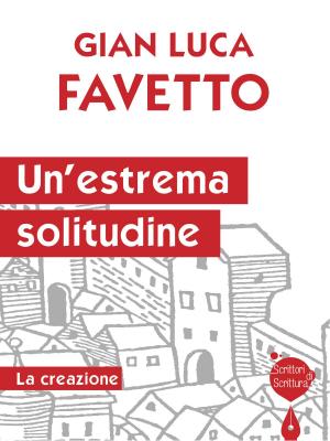 Cover of the book Un’estrema solitudine by Giuseppe Pani