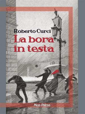 bigCover of the book La bora in testa by 