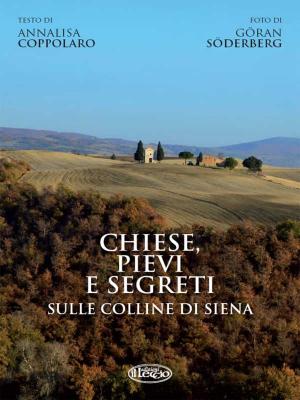 Cover of the book Chiese, pievi e segreti sula collina di Siena by Daniele Zumbo