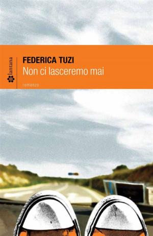 Cover of the book Non ci lasceremo mai by Lae Ilola