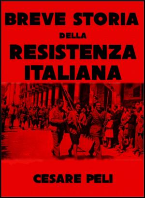 Cover of the book Breve storia della Resistenza Italiana by Wiki Brigades