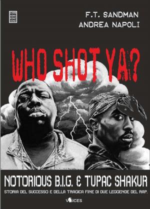 Book cover of Who Shot Ya?