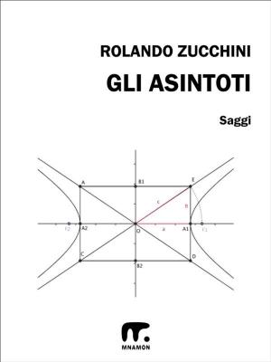 Cover of the book Gli asintoti by Francesco Di Pietro