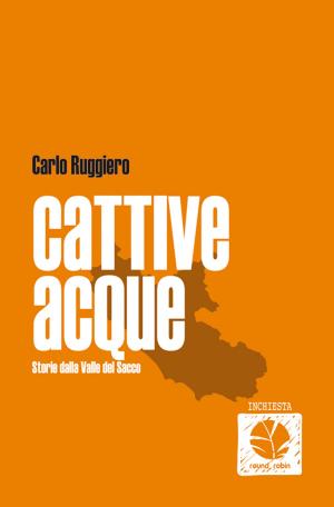 Cover of the book Cattive acque by Gianni Barbacetto, Manuela D'Alessandro, Luca Ferrara