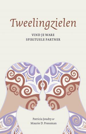 Cover of the book Tweelingzielen by Lynn Austin