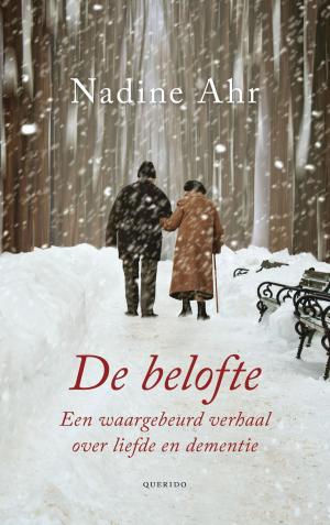 Cover of the book De belofte by Kader Abdolah