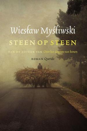 Cover of the book Steen op steen by Henning Mankell