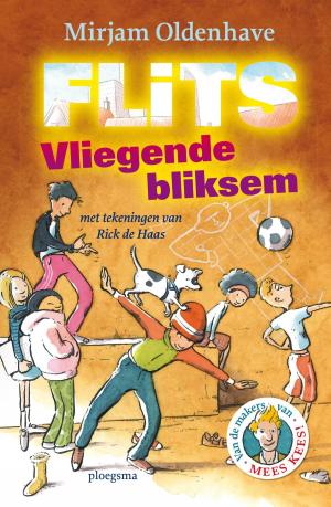Cover of the book Flits by An Rutgers van der Loeff