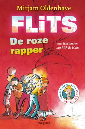 Cover of the book Flits by Marijn Backer