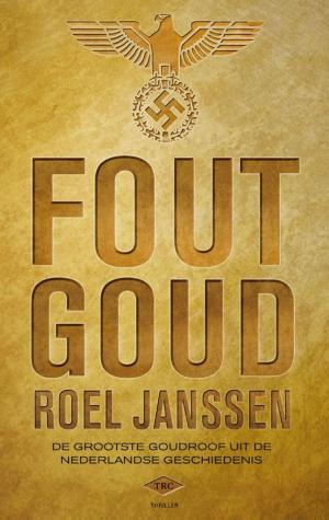 Cover of the book Fout goud by Marcia Luyten