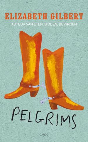 Book cover of Pelgrims