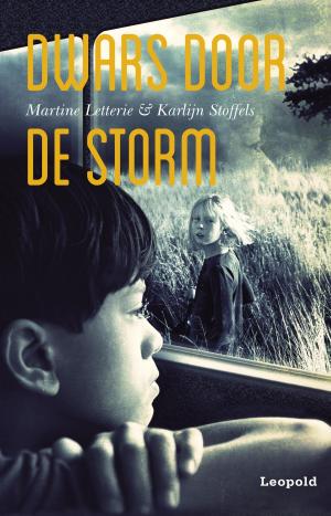 Cover of the book Dwars door de storm by Brandon Mull, Shannon Hale