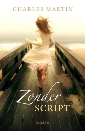 Cover of the book Zonder script by Greetje van den Berg