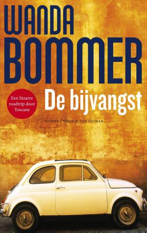 Cover of the book De bijvangst by Toon Tellegen