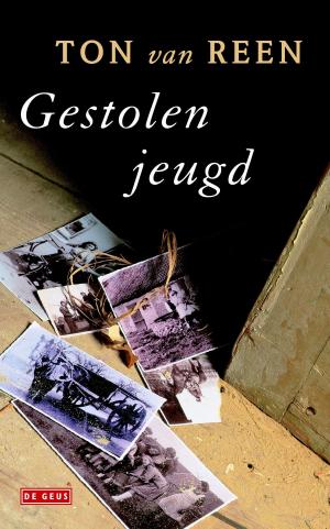 Cover of the book Gestolen jeugd by Thomas Rosenboom