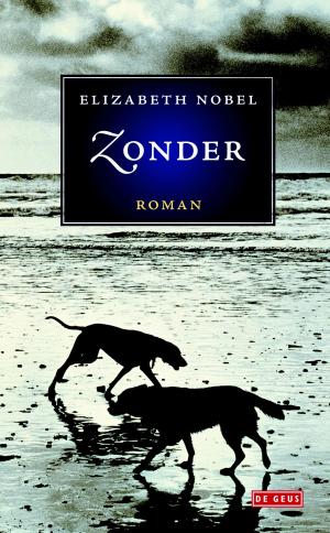 Cover of the book Zonder by Reggie Baay
