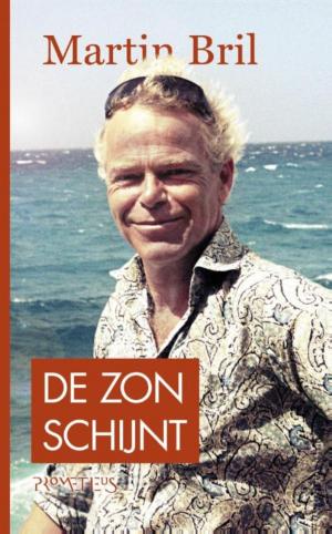 Cover of the book De zon schijnt by Maxim Februari