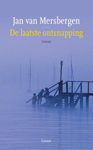 Cover of the book De laatste ontsnapping by Anne Folkertsma
