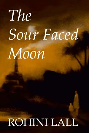 Book cover of The Sour Faced Moon