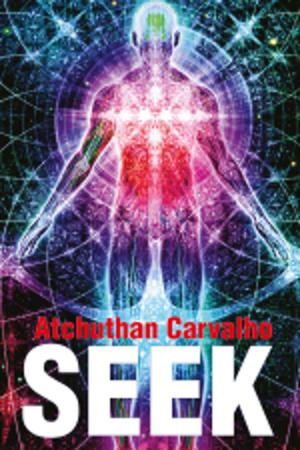 Cover of the book Seek by Rajashree Anand