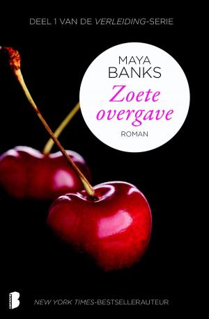 Cover of the book Zoete overgave by Jens Christian Grøndahl