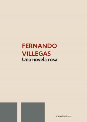 Cover of the book Una novela rosa by Hernán Rivera Letelier