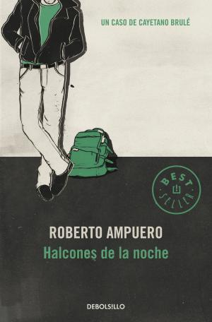 Cover of the book Halcones de la noche by MAURICIO WEIBEL