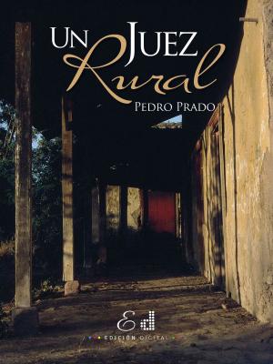 Cover of the book Un Juez Rural by Gustavo Reyes Hidalgo