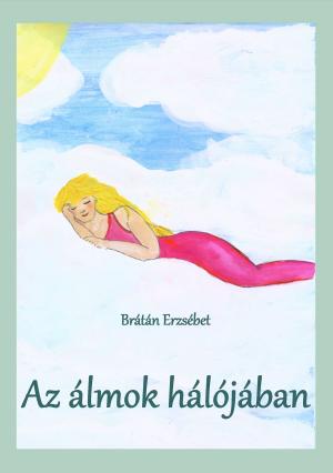 Cover of the book Az álmok hálójában by Brátán Erzsébet