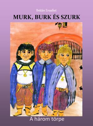 Cover of the book Murk, Burk és Szurk by Kulp Nikolett