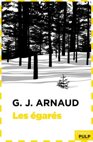 Cover of the book Les Egarés by Alain Leblanc