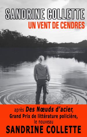 Cover of the book Un vent de cendres by Sonja Delzongle
