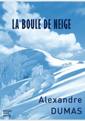 Cover of the book La Boule de Neige by Robert M. Goldstein