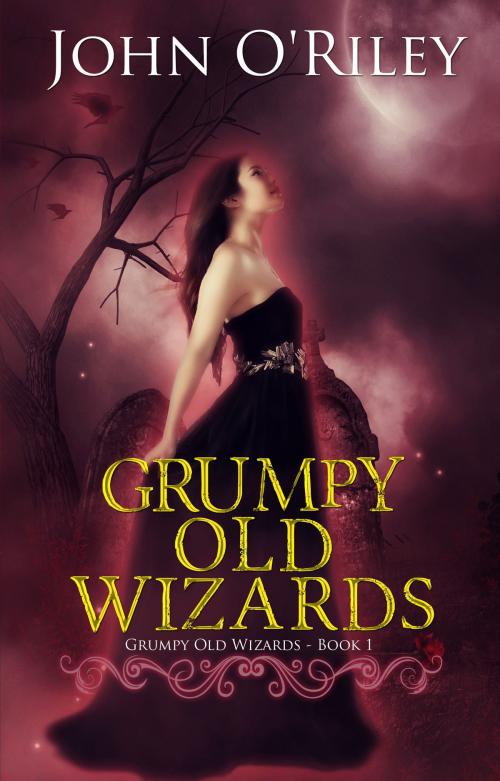 Cover of the book Grumpy Old Wizards by John O'Riley, Kobo