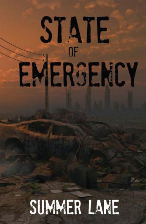 Cover of the book State of Emergency by Summer Lane, WB Publishing