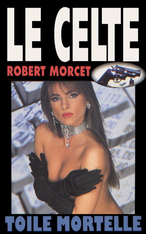Cover of the book Toile mortelle by Robert Morcet, GLM LLC