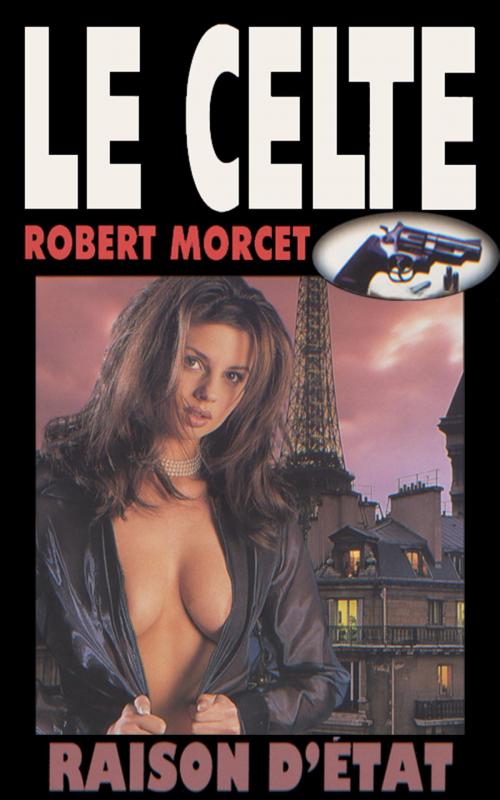 Cover of the book Raison d'État by Robert Morcet, GLM LLC