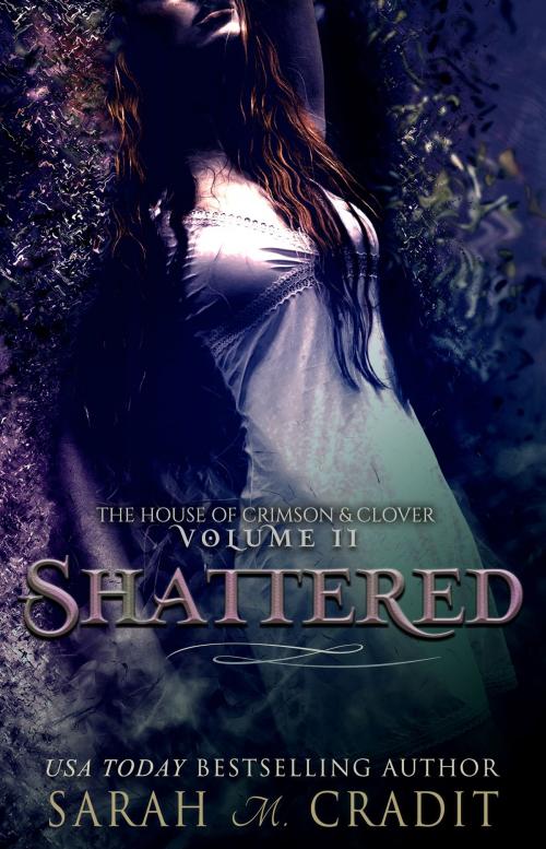Cover of the book Shattered by Sarah M. Cradit, CreateSpace