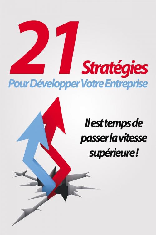 Cover of the book 21 Stratégies pour votre entreprise by Gaël Hamel, Gaël Hamel