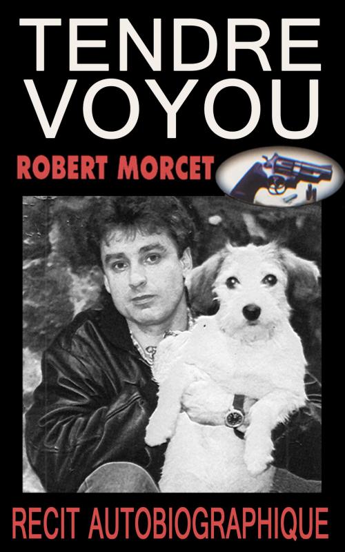 Cover of the book Tendre Voyou by Robert Morcet, GLM LLC