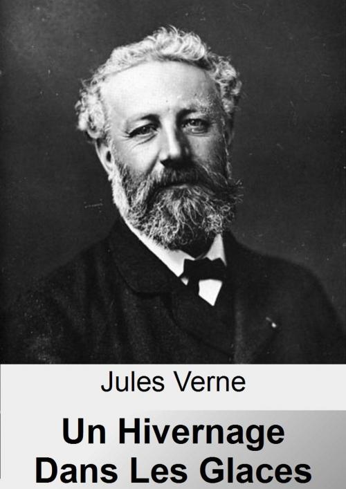 Cover of the book Un hivernage dans les glaces by Jules Verne, IV