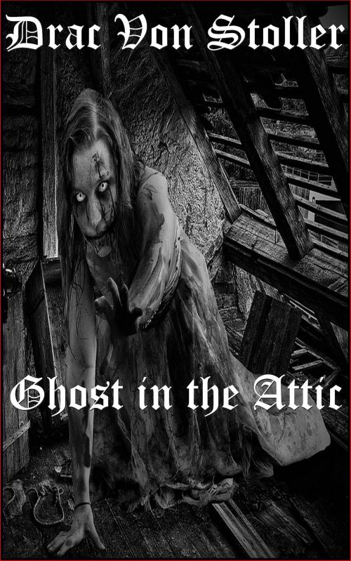 Cover of the book Ghost in the Attic by Drac Von Stoller, Drac Von Stoller