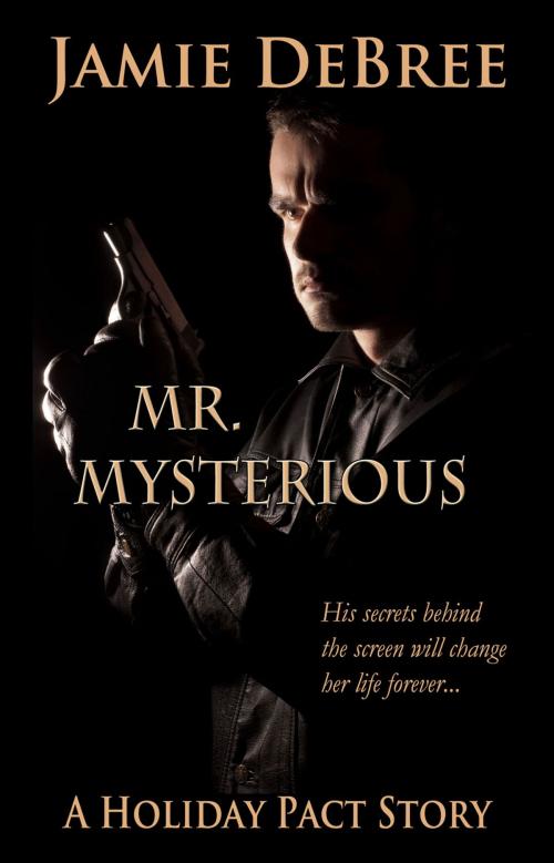 Cover of the book Mr. Mysterious by Jamie DeBree, Brazen Snake Books