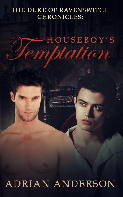 Cover of the book The Duke of Ravenswitch Chronicles: Houseboy's Temptation by Adrian Anderson, Dakota Blue Enterprises, LLC