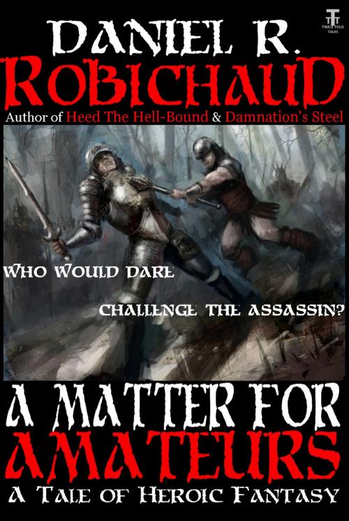 Cover of the book A Matter For Amateurs by Daniel R. Robichaud, Twice Told Tales