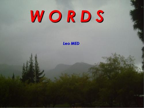 Cover of the book WORDS by Leo MED, Really Outstanding Stuff