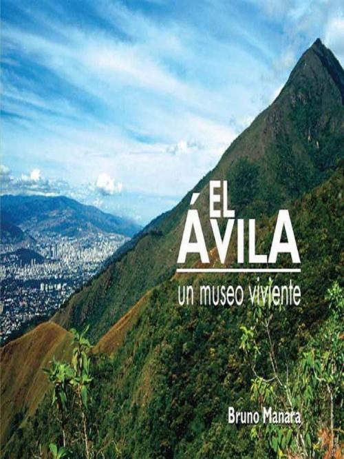 Cover of the book El Avila by Bruno Manara, The Little French eBooks
