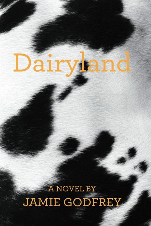 Cover of the book Dairyland by Jamie Godfrey, Orange Box Publishing