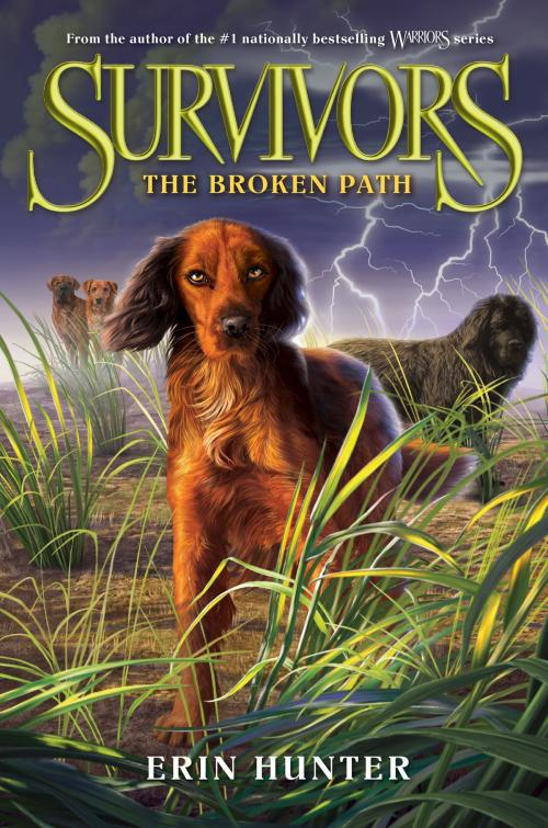 Cover of the book Survivors #4: The Broken Path by Erin Hunter, HarperCollins